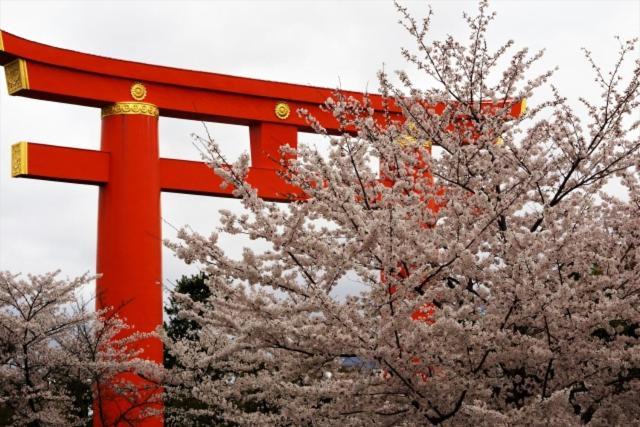 Rejoice Stay Kyoto Nijo Gekko Dış mekan fotoğraf