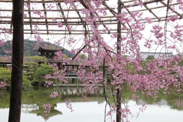 Rejoice Stay Kyoto Nijo Gekko Dış mekan fotoğraf